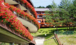 POLTURIZM